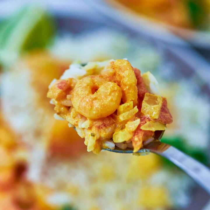 A spoonful of shrimp tikka masala and rice held over the big serving bowl.