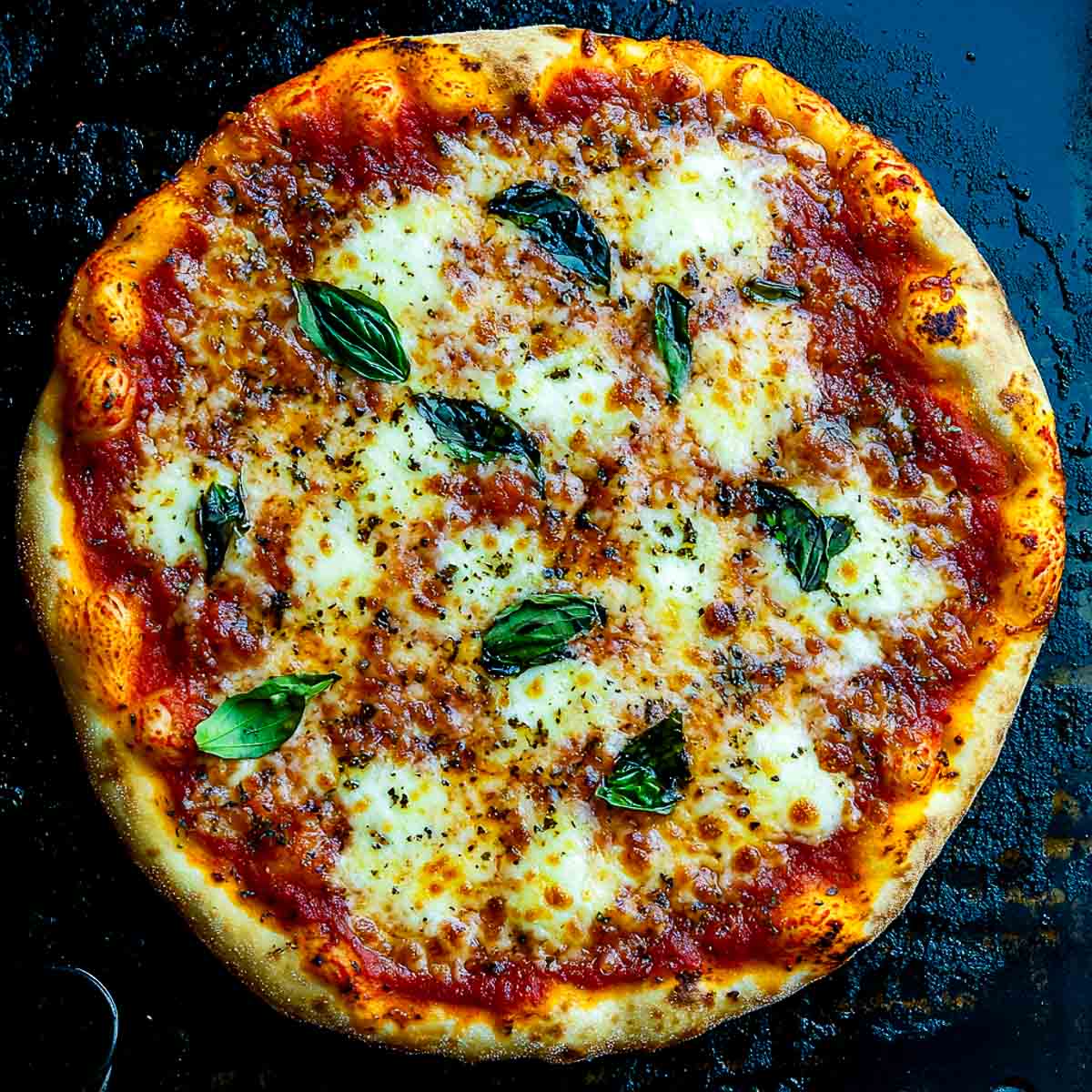 Top-down view of a crispy Blackstone camping pizza with melted mozzarella, rich tomato sauce, and fresh basil leaves cooked on a seasoned flat-top griddle.